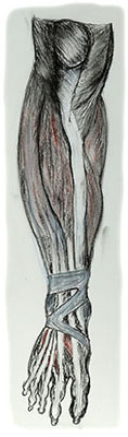 Right Leg