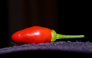 chilli_photo